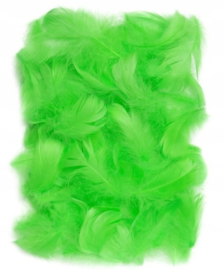 PIÓRKA 5-12CM ZIELONE 10G.
