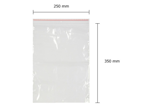 TOREBKI STRUNOWE 250X350 FOL OP100SZT