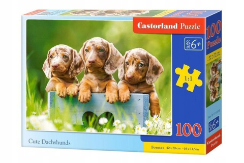 Puzzle 100 el. Cute Dachshunds Puzzle 100 el. Cute Dachshunds