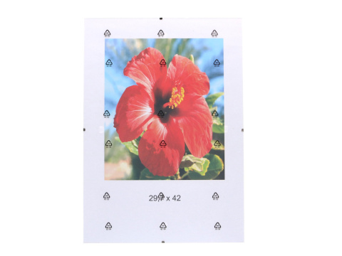 ANTYRAMA PLEXI 297X420 GED CFP29742 FOL ANTYRAMA PLEXI 297X420 GED CFP29742 FOL