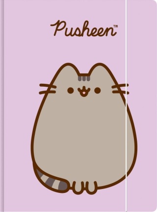 TECZKA Z GUMKĄ A4 300 g/m2(10) PUSHEEN St.Majewski