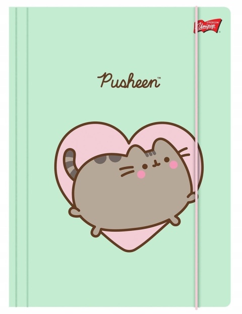 TECZKA Z GUMKĄ A4 300 g/m2(10) PUSHEEN St.Majewski TECZKA Z GUMKĄ A4 300 g/m2(10) PUSHEEN St.Majewski