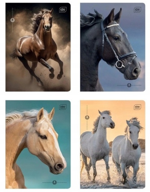 Zeszyt A5 16# 70g UV Wild Horses