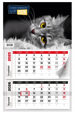 KALENDARZ ŚCIENNY DWUMIESIĘCZNY LUX 2026