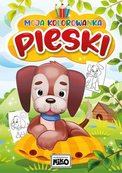 Moja kolorowanka - PIESKI