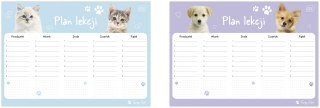 Plan lekcji A4 Puppy Sign