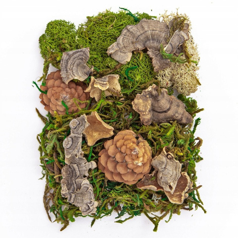 MECH I NATURALNE ELEMENTY MIX, 30 G MECH I NATURALNE ELEMENTY MIX, 30 G