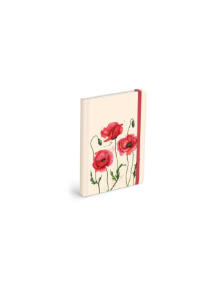 NOTES Z GUMKĄ 13X18CM 120K GŁADKI W MAKI