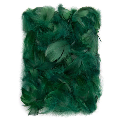 PIÓRKA 5-12 CM, 10 G CIEMNO ZIELONE PIÓRKA 5-12 CM, 10 G CIEMNO ZIELONE