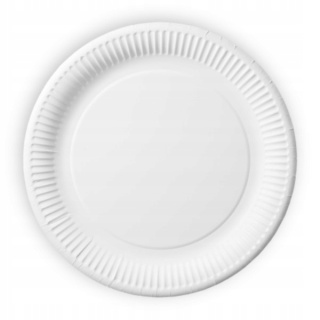 Talerz papierowy 23cm (10 szt.)